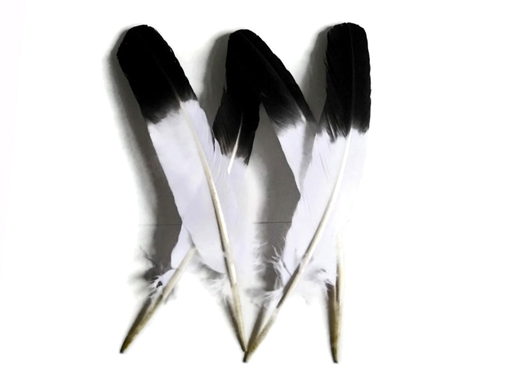6 pieces - Black Tipped Imitation Eagle Accent Feathers for Wedding Centerpieces