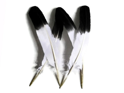 6 pieces - Black Tipped Imitation Eagle Accent Feathers for Wedding Centerpieces