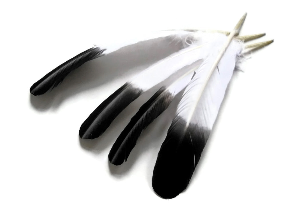 6 pieces - Black Tipped Imitation Eagle Accent Feathers for Wedding Centerpieces