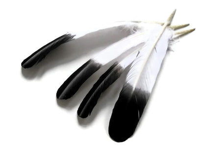 6 pieces - Black Tipped Imitation Eagle Accent Feathers for Wedding Centerpieces