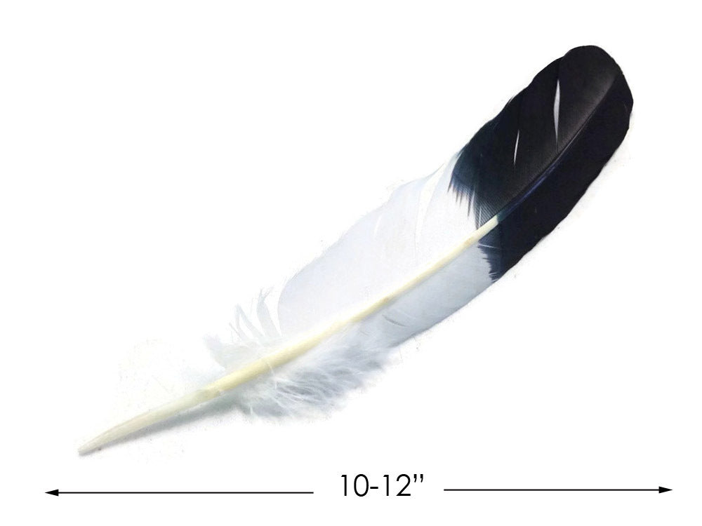 6 pieces - Black Tipped Imitation Eagle Accent Feathers for Wedding Centerpieces