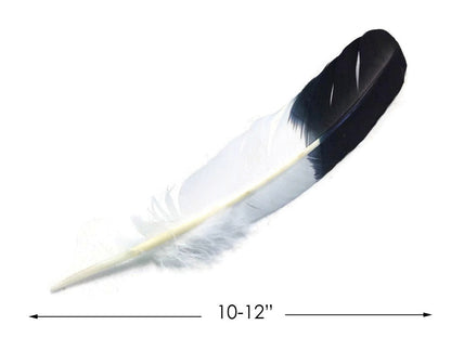 6 pieces - Black Tipped Imitation Eagle Accent Feathers for Wedding Centerpieces