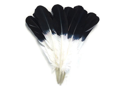 6 pieces - Black Tipped Imitation Eagle Accent Feathers for Wedding Centerpieces