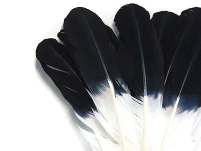 6 pieces - Black Tipped Imitation Eagle Accent Feathers for Wedding Centerpieces