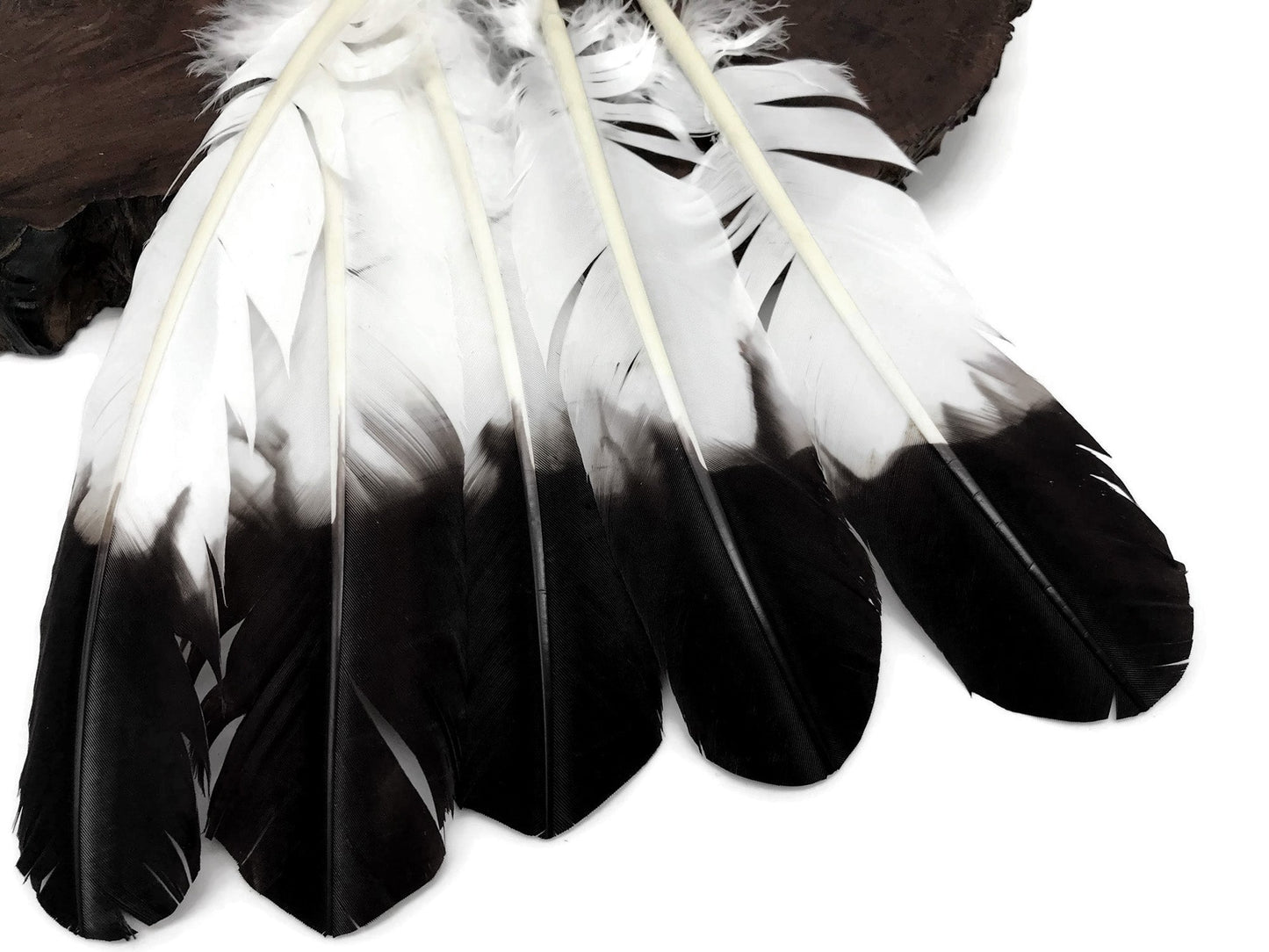 6 pieces - Black Tipped Imitation Eagle Accent Feathers for Wedding Centerpieces
