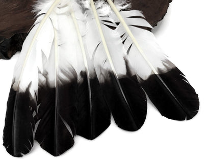 6 pieces - Black Tipped Imitation Eagle Accent Feathers for Wedding Centerpieces