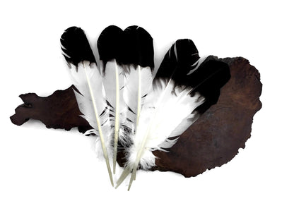 6 pieces - Black Tipped Imitation Eagle Accent Feathers for Wedding Centerpieces