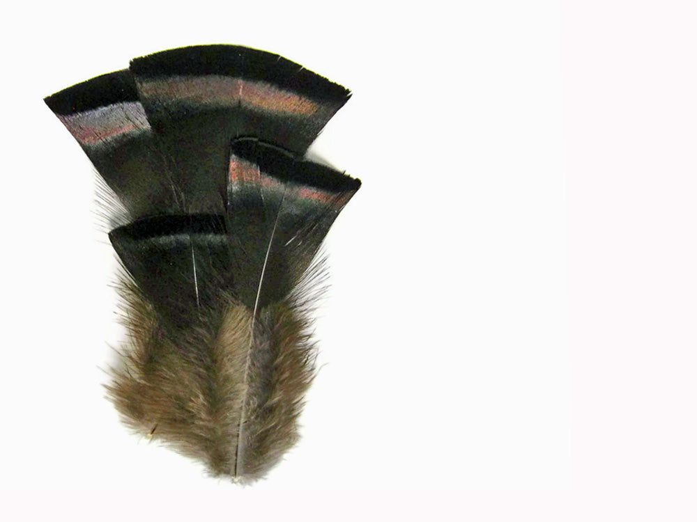 20 pieces - Natural Black Bronze Wild Accent Feathers for Wedding Centerpieces