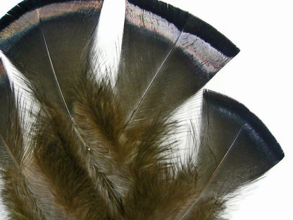 20 pieces - Natural Black Bronze Wild Accent Feathers for Wedding Centerpieces