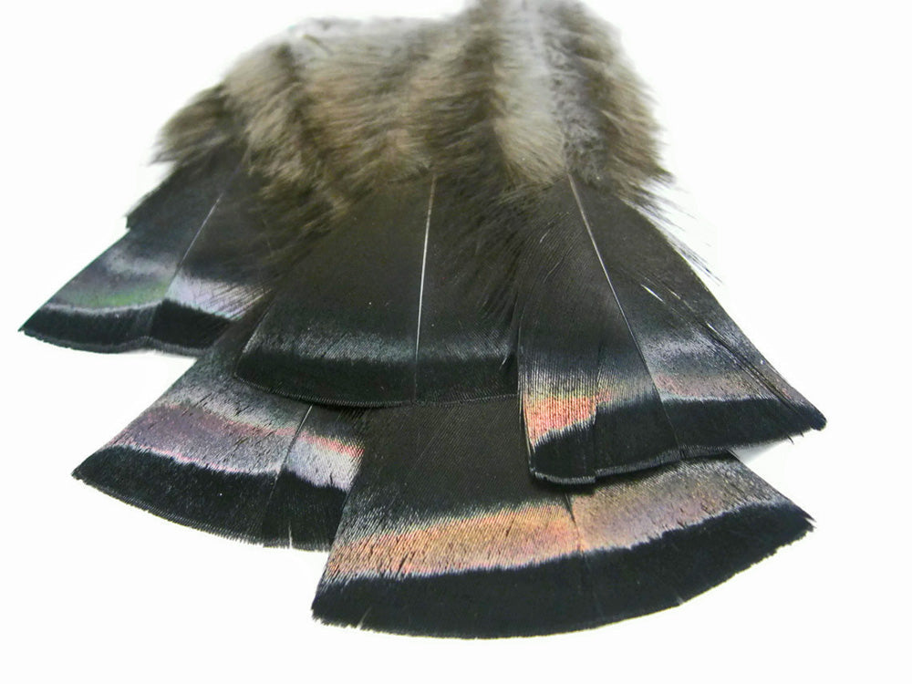 20 pieces - Natural Black Bronze Wild Accent Feathers for Wedding Centerpieces