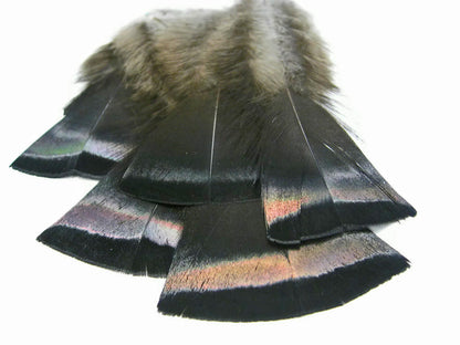 20 pieces - Natural Black Bronze Wild Accent Feathers for Wedding Centerpieces