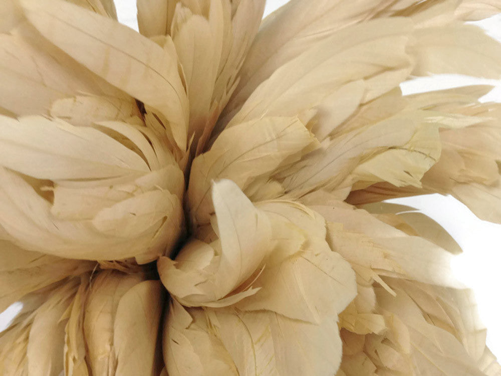 8-10" Natural Inch Strip Ivory Accent Feathers for Wedding Centerpieces
