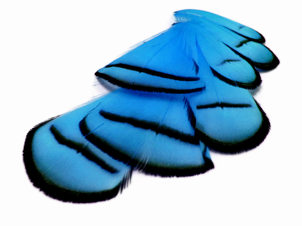 1 dozen - Turquoise Dyed Blue Lady Accent Feathers for Wedding Centerpieces
