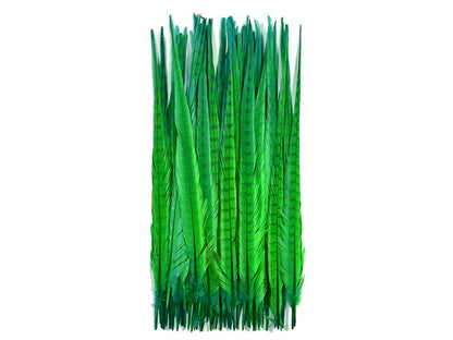 10 pieces - 18-22" Green Bright Bleached Dyed Accent Feathers for Wedding Centerpieces