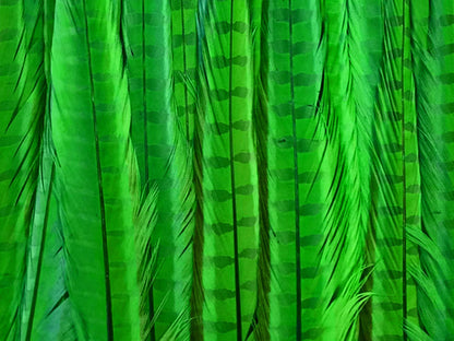 50 pieces - 18-22" Green Bright Bleached Dyed Accent Feathers for Wedding Backdrops & Arches