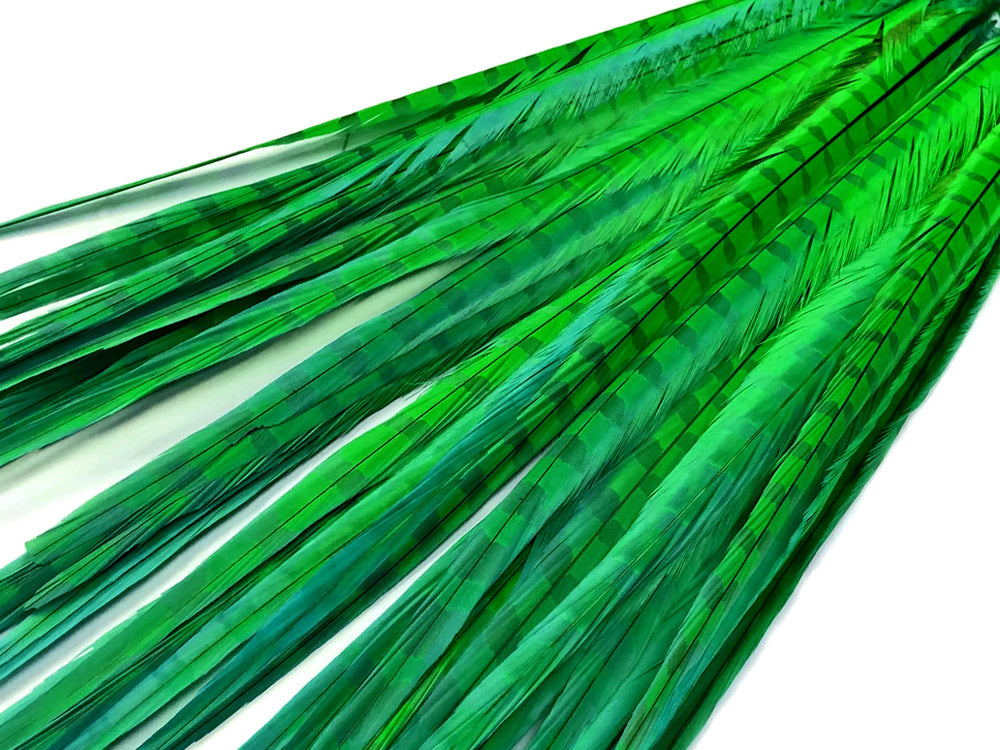 10 pieces - 18-22" Green Bright Bleached Dyed Accent Feathers for Wedding Centerpieces