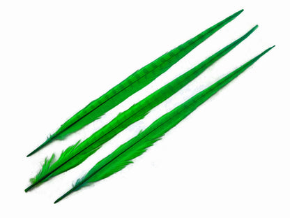 50 pieces - 18-22" Green Bright Bleached Dyed Accent Feathers for Wedding Backdrops & Arches