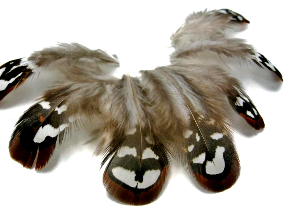 10 pieces - Brown Reeves Venery Plumage Accent Feathers for Wedding Bouquets & Boutonnieres
