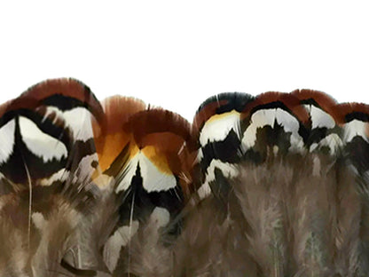 10 pieces - Brown Reeves Venery Plumage Accent Feathers for Wedding Bouquets & Boutonnieres