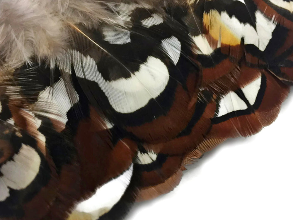 10 pieces - Brown Reeves Venery Plumage Accent Feathers for Wedding Bouquets & Boutonnieres