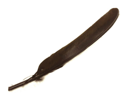 10 Pieces - Brown Turkey Pointers Primary Wing Quill Large Feathers | Moonlight Feather | Amazon