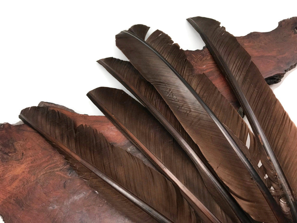10 Pieces - Brown Turkey Pointers Primary Wing Quill Large Feathers | Moonlight Feather | Amazon