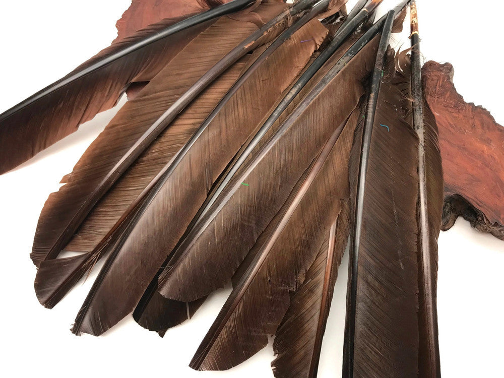 10 Pieces - Brown Turkey Pointers Primary Wing Quill Large Feathers | Moonlight Feather | Amazon