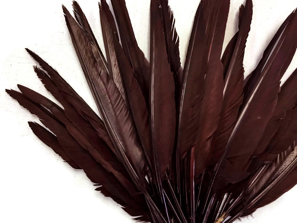 A quarter pound - Brown Pointer Primary Wing Accent Feathers for Wedding Backdrops & Arches
