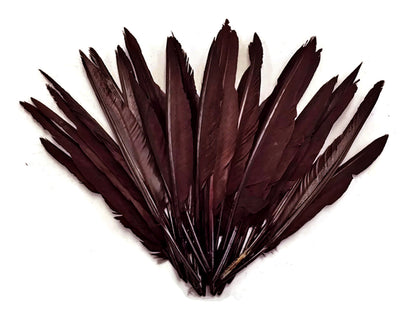 50 oz - Brown Pack Primary Wing Accent Feathers for Wedding Centerpieces