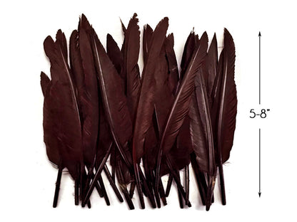 A quarter pound - Brown Pointer Primary Wing Accent Feathers for Wedding Backdrops & Arches