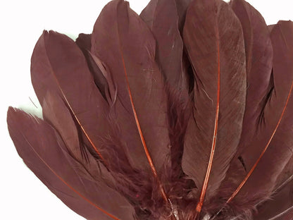 3 oz - Brown Pack Satinettes Pallet Accent Feathers for Wedding Bouquets & Boutonnieres