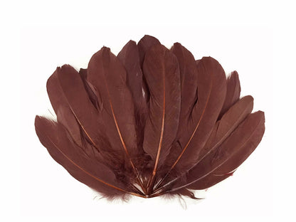 3 oz - Brown Pack Satinettes Pallet Accent Feathers for Wedding Bouquets & Boutonnieres