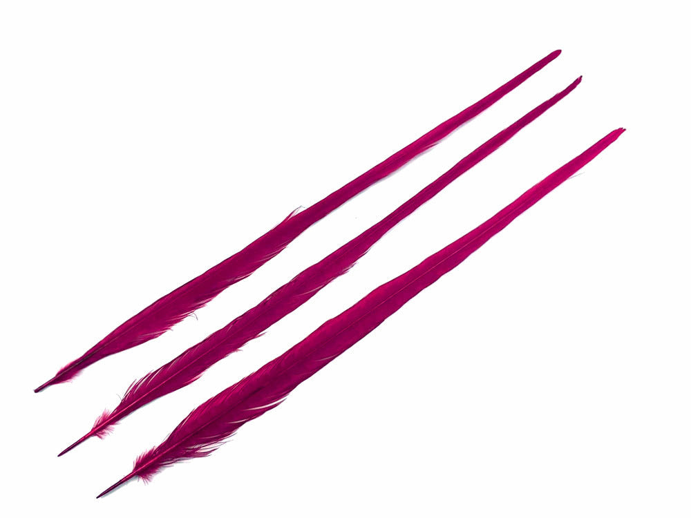 50 pieces - 18-22" Burgundy Bleached Dyed Ringneck Accent Feathers for Wedding Backdrops & Arches