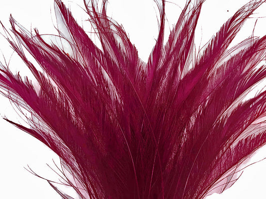 5 pieces - 10-12" Burgundy Bleached Dyed Swords Peacock Feathers for Wedding Centerpieces