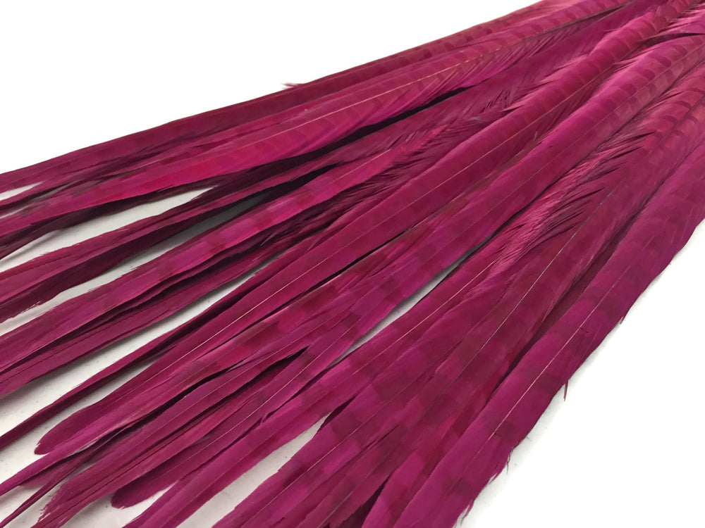 10 pieces - 18-22" Burgundy Bleached Dyed Ringneck Accent Feathers for Wedding Centerpieces