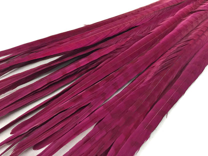 10 pieces - 18-22" Burgundy Bleached Dyed Ringneck Accent Feathers for Wedding Centerpieces