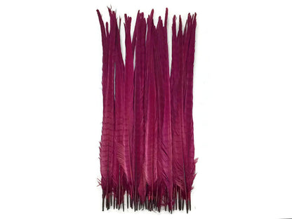 50 pieces - 18-22" Burgundy Bleached Dyed Ringneck Accent Feathers for Wedding Backdrops & Arches