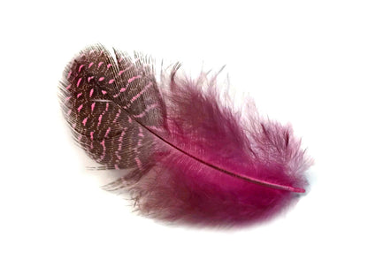 A quarter pound - Pink Candy Hen Plumage Accent Feathers for Wedding Backdrops & Arches