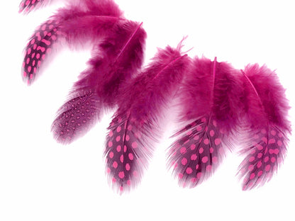 10 oz - Pink Pack Candy Hen Accent Feathers for Wedding Centerpieces