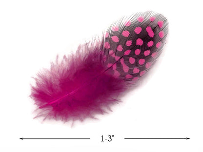 A quarter pound - Pink Candy Hen Plumage Accent Feathers for Wedding Backdrops & Arches