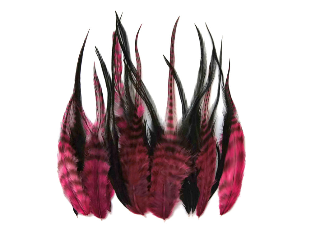 2 dozen - Grizzly Short Claret Black Accent Feathers for Wedding Bridal Accessories