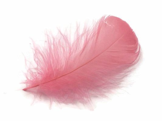 1 Pack - 2-3" Coral Goose Coquille Loose Feathers - 0.35 Oz.