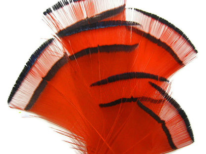 1 dozen - Orange Dyed Golden Tippet Accent Feathers for Wedding Centerpieces