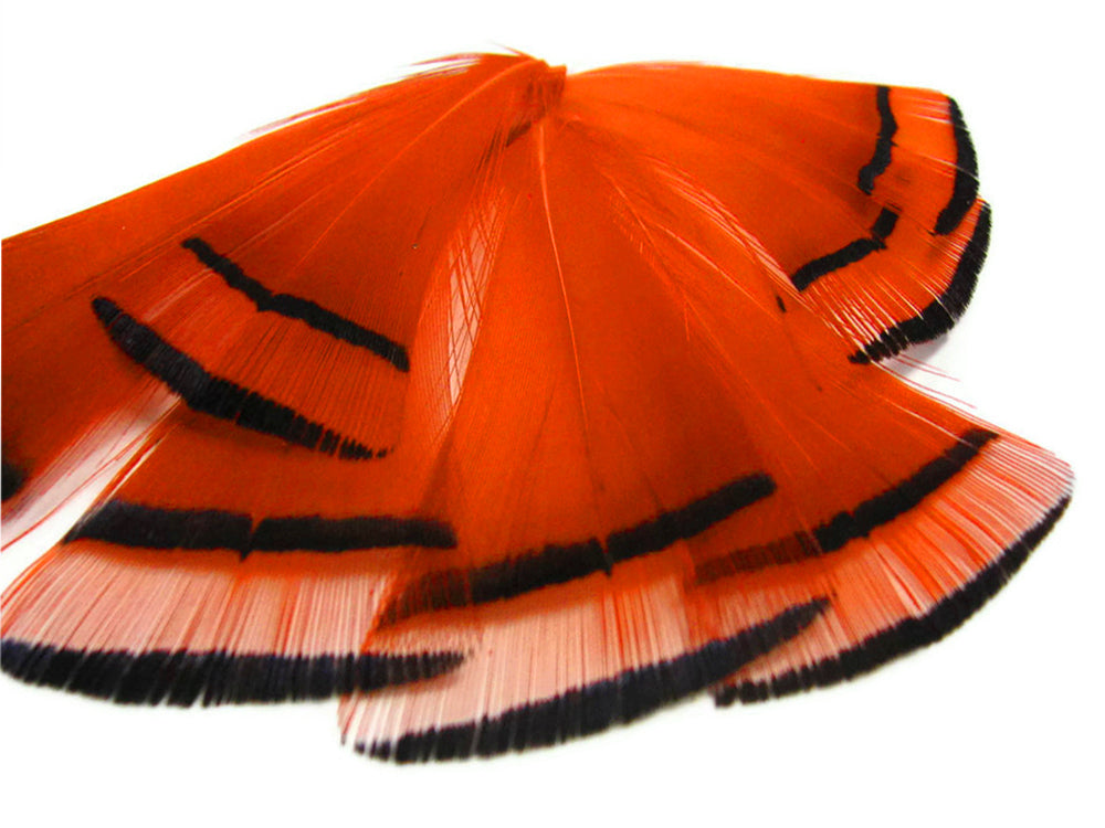 1 dozen - Orange Dyed Golden Tippet Accent Feathers for Wedding Centerpieces