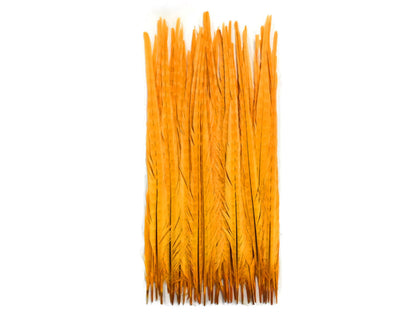 10 pieces - 18-22" Yellow Golden Bleached Dyed Accent Feathers for Wedding Centerpieces