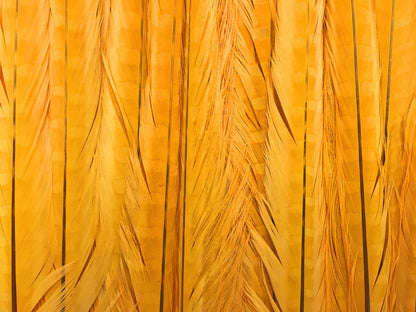 10 pieces - 18-22" Yellow Golden Bleached Dyed Accent Feathers for Wedding Centerpieces