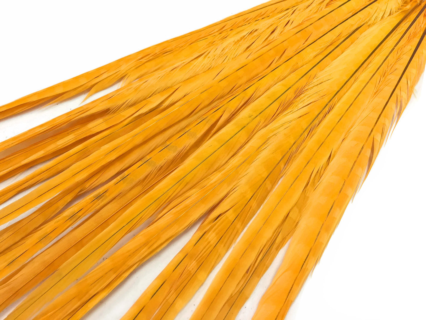 10 pieces - 18-22" Yellow Golden Bleached Dyed Accent Feathers for Wedding Centerpieces