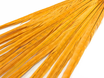10 pieces - 18-22" Yellow Golden Bleached Dyed Accent Feathers for Wedding Centerpieces