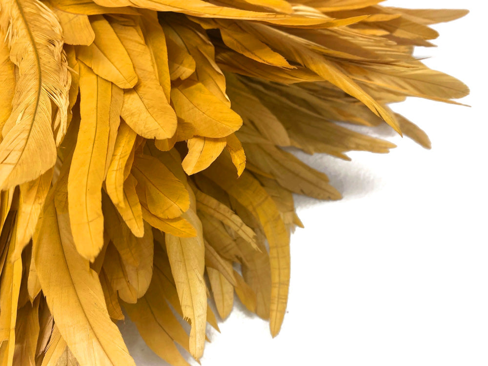 8-10" Natural Inch Strip Golden Accent Feathers for Wedding Centerpieces