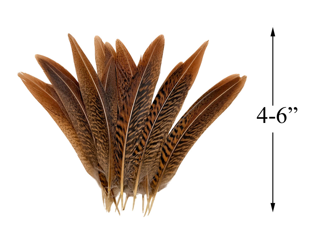 10 pieces - 4-6" Natural Golden Tail Accent Feathers for Wedding Centerpieces
